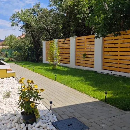 Gili Timisoara