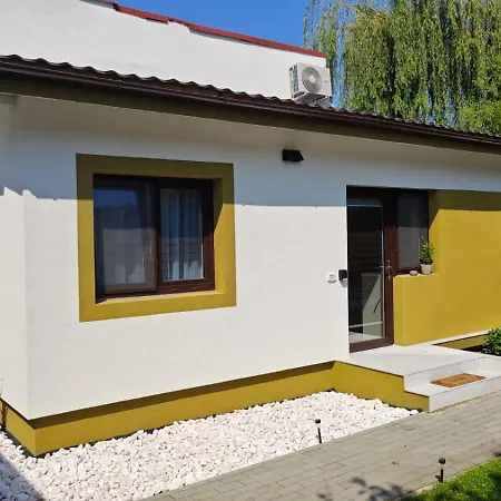 Gili * ティミショアラ