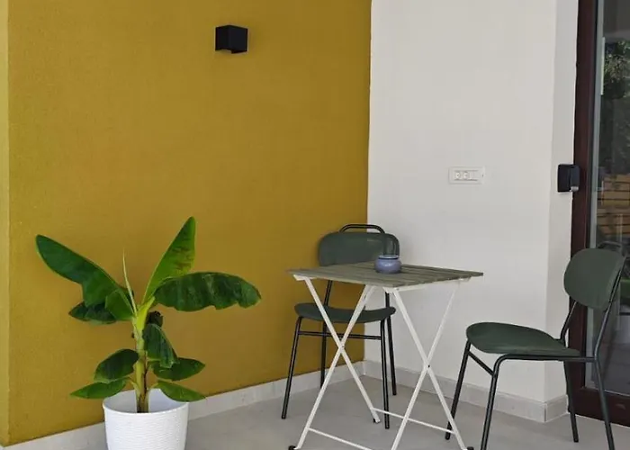 公寓 Gili 蒂米什瓦拉